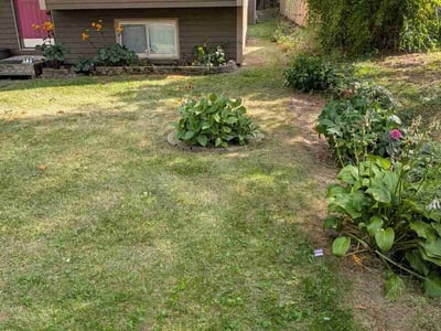 Lawn Care service in Madison Heights, 48071