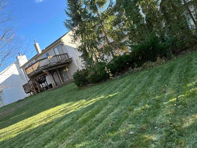 Lawn Care service in Madison Heights, 48071