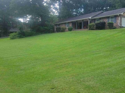 Lawn Care service in North Myrtle Beach, 29582