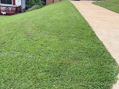 Lawn Care service in Dunlap, 37327