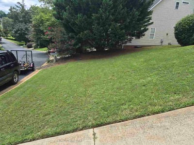 Lawn Care service in Laurens, 29360