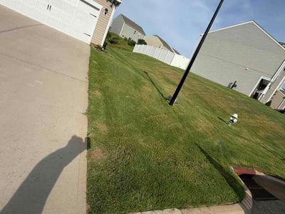 Lawn Care service in Laurens, 29360