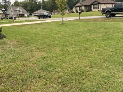 Lawn Care service in Tracy, 95376