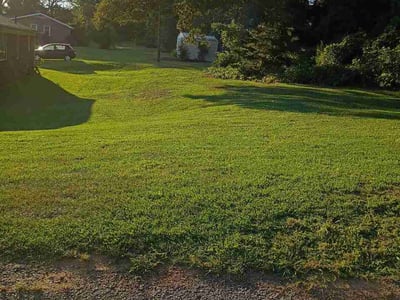 Lawn Care service in Clemson, 29631