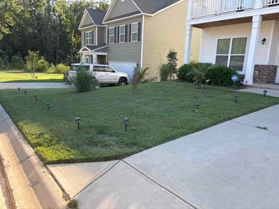 Lawn Care service in Blythewood, 29016