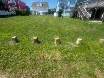 Lawn Care service in Murrells Inlet, 29576