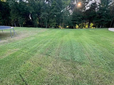 Lawn Care service in Jackson, 38301