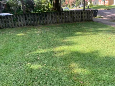 Lawn Care service in Jackson, 38301