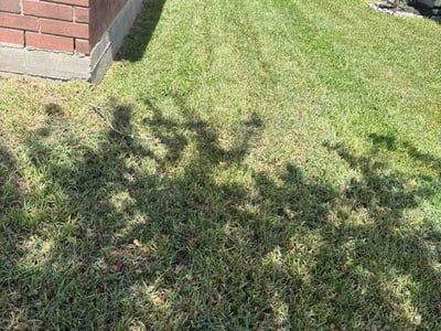 Lawn Care service in Denison, 75021