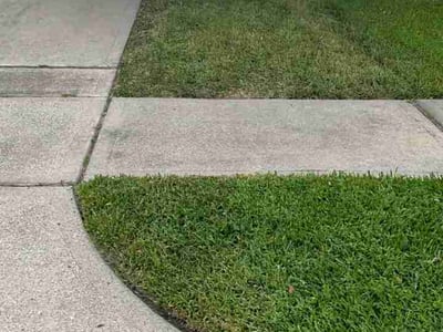 Lawn Care service in Denison, 75021
