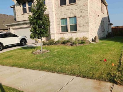 Lawn Care service in Sherman, 75090