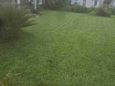 Lawn Care service in Hanahan, 29410