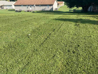 Lawn Care service in Lenoir City, 37771
