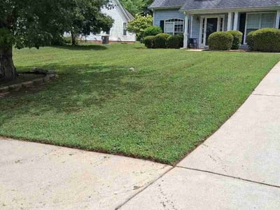 Lawn Care service in Dalton, 30720