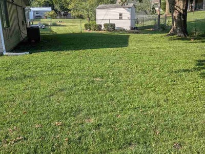 Lawn Care service in Belleville, 62220