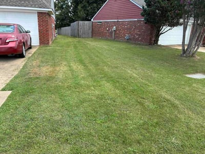 Lawn Care service in Tupelo, 38804