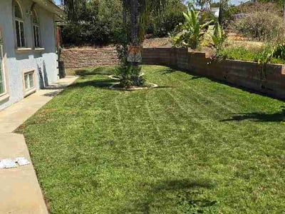 Lawn Care service in San Jacinto, 92583