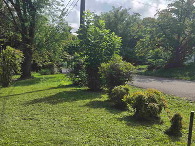 Lawn Care service in La Follette, 37766