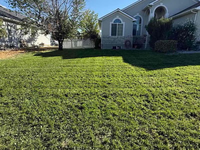 Lawn Care service in Sandy, 84092