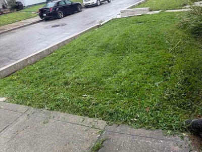 Lawn Care service in Muncie, 47305