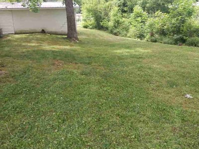 Lawn Care service in Signal Mountain, 37377