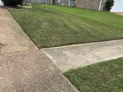 Lawn Care service in Cordova, 38018