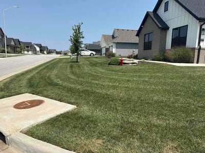 Lawn Care service in Marshfield, 65706