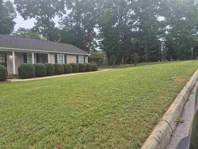 Lawn Care service in Taylors, 29687