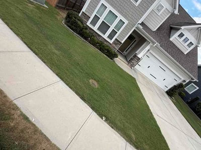 Lawn Care service in Taylors, 29687