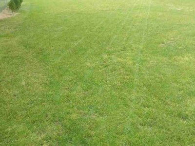 Lawn Care service in Post Falls, 83854