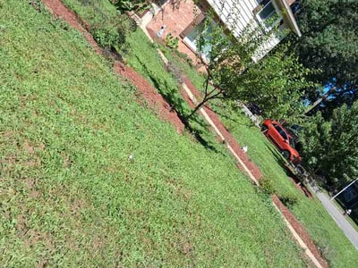 Lawn Care service in Harrisonburg, 22802