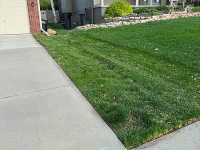 Lawn Care service in Decatur, 62523