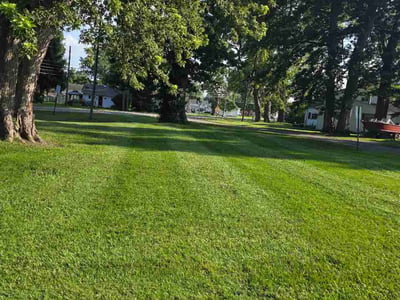 Lawn Care service in Monroe, 48161