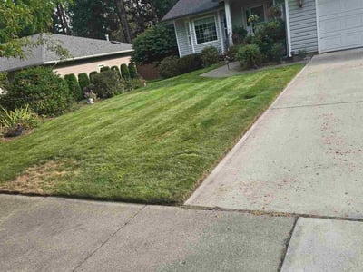 Lawn Care service in Post Falls, 83854
