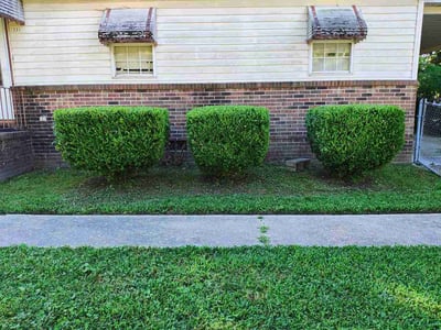 Lawn Care service in Tiverton, 02878