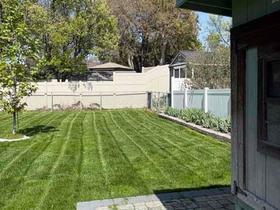Lawn Care service in Post Falls, 83854