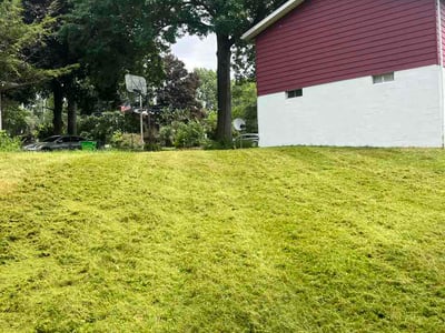 Lawn Care service in Wausau, 54403