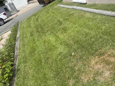 Lawn Care service in North Providence, 02911