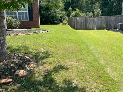 Lawn Care service in Travelers Rest, 29690