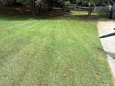 Lawn Care service in Snohomish, 98290