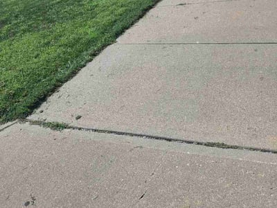 Lawn Care service in Kenmore, 98028