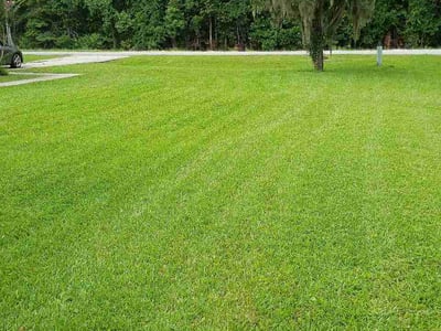 Lawn Care service in Saint Simons Island, 31522