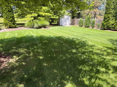 Lawn Care service in Beloit, 53511