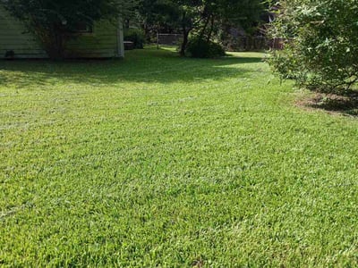 Lawn Care service in Odessa, 79761