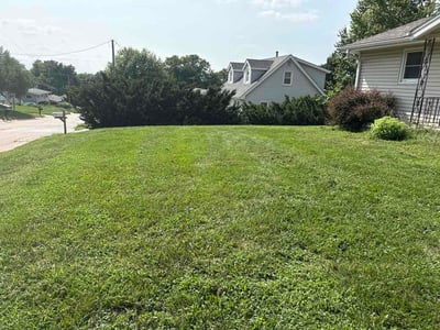 Lawn Care service in Council Bluffs, 51501