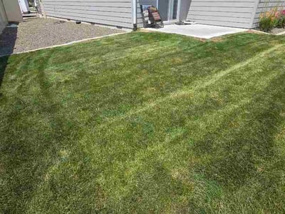 Lawn Care service in Lebanon, 97355