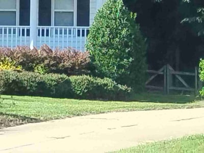 Lawn Care service in Lebanon, 97355
