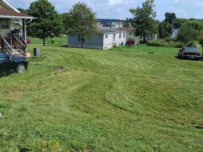 Lawn Care service in Carnegie, 15106