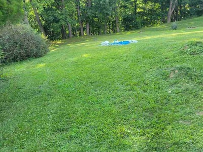 Lawn Care service in Glenshaw, 15116