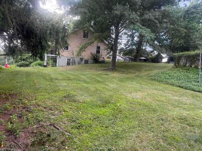Lawn Care service in Carnegie, 15106